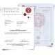 High quality college diploma next to University of Cophenbagen transcript showing academic classes and scores