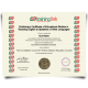 Copy of A Level One TESOL certificate from Training Link on teal and green border paper with shiny gold embossed seal featuring student and Eurolink examination board details
