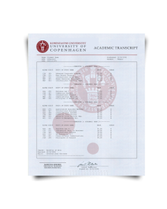 Set of signed University of Copenhagen transcripts on watermarked blue security academic paper featuring college class list and final grades