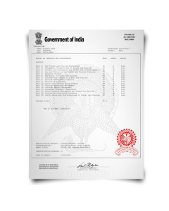 Academic mark sheet transcripts from India university featuring college coursework with red embossed crest printed on watermarked security paper