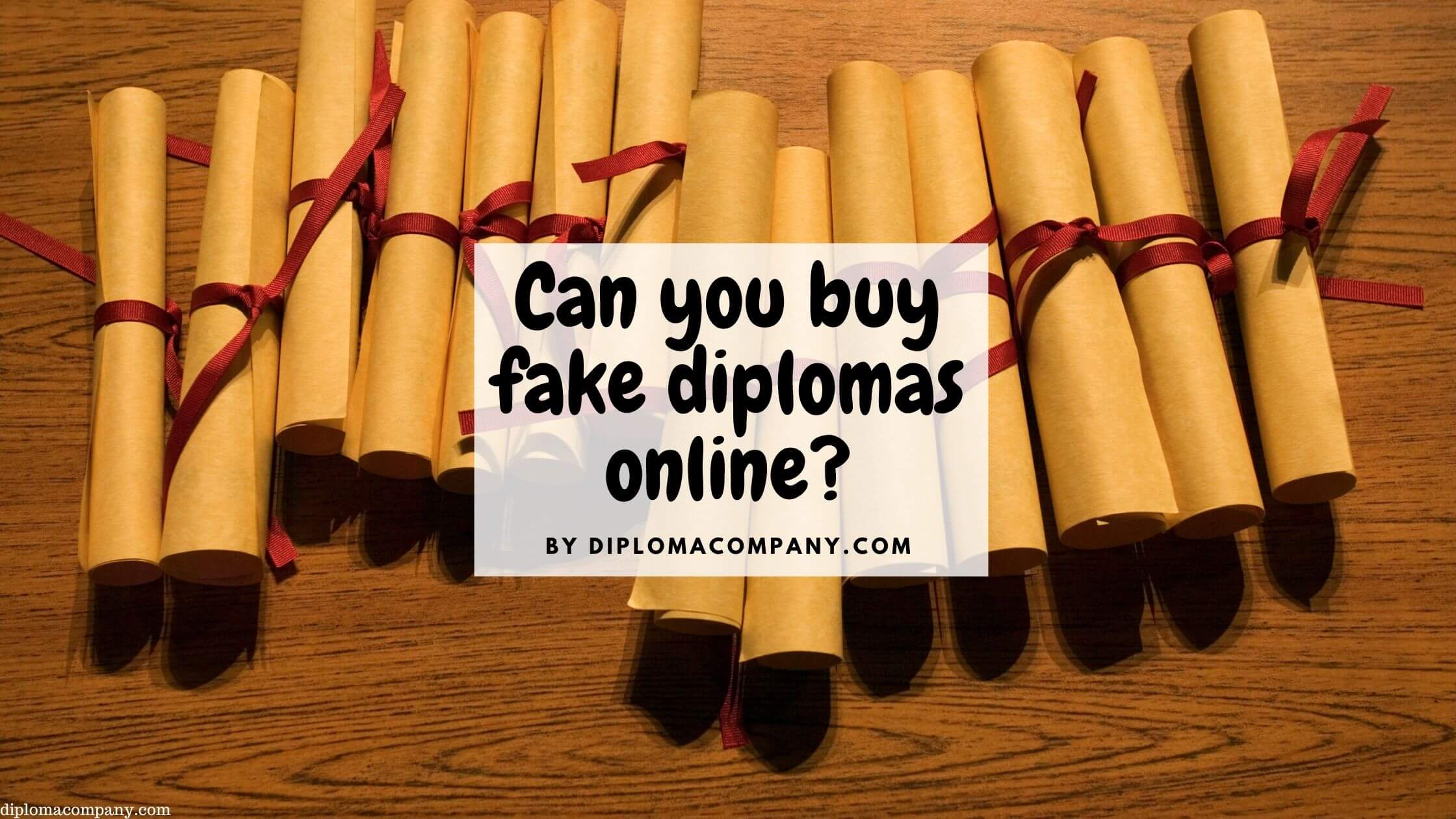 Can you Buy Fake Diplomas online?