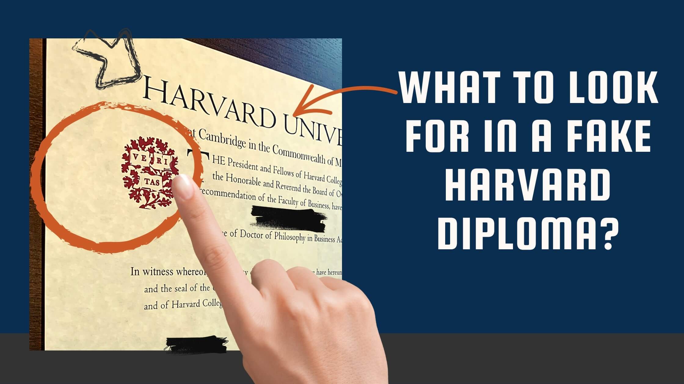 fake diploma from harvard