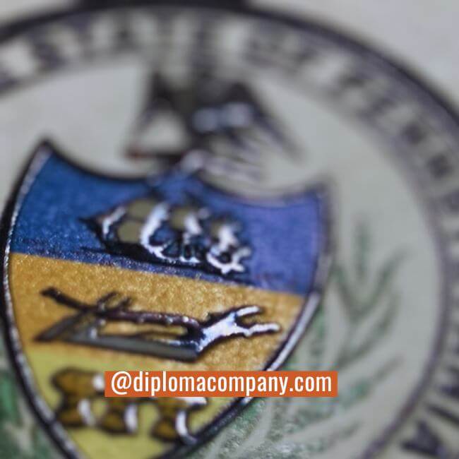 Raised seal on a fake university diploma featuring deep layers and a rich gloss finish