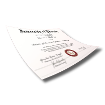 Fake Diploma