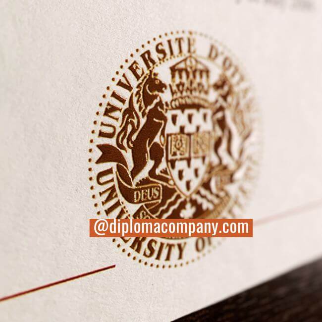 up-close image of a shiny gold embossed and raised seal on a fake university degree print